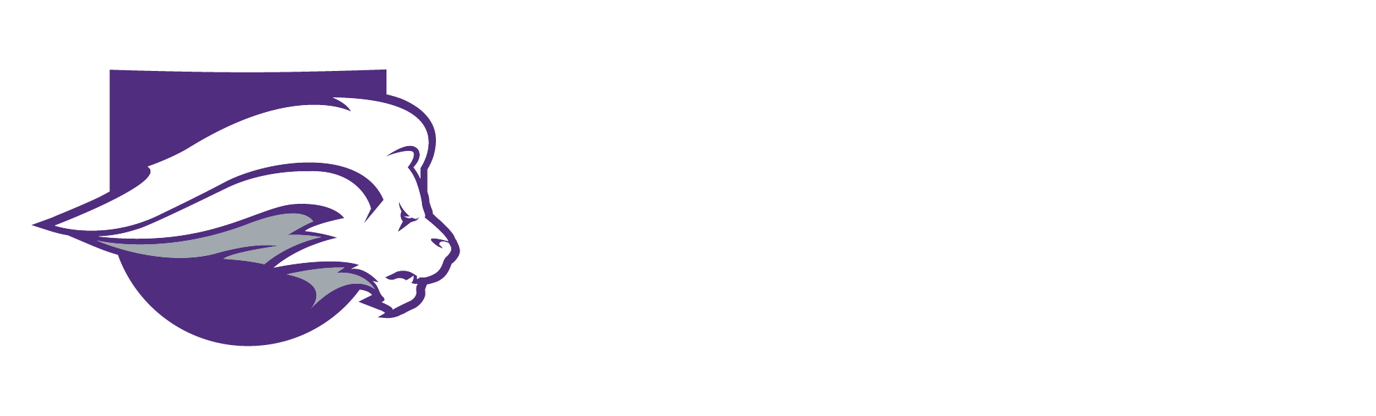 Nelson University Logo