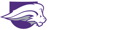 Nelson University - Logo